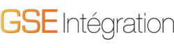 GSE-INTEGRATION-1-new